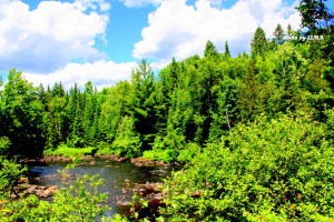 burks falls 2012 073