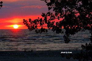 wasaga 3rd anniv picnic & beatrice 3rd visit 171